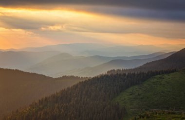 Alplerde yeşil çayırlar, çiçek açan çiçekler ve arka planda karla kaplı dağ tepeleri olan Idyllic manzarası.