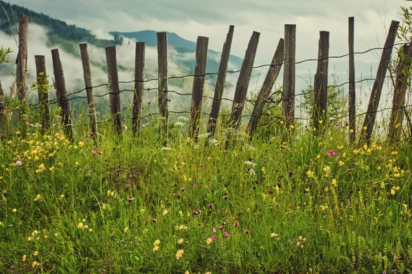 Kaunis Näkymä Idyllinen Vuoristo Maisemia Alpeilla Perinteinen Vanha Vuoristo Chalet — kuvapankkivalokuva