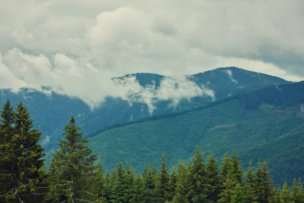 雾景中美丽的雾山壮丽的景色 戏剧化的不寻常场面 旅行背景 探索美丽的世界 喀尔巴阡山乌克兰 — 图库照片