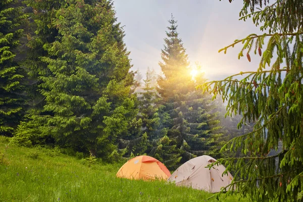 Çimenli tepede, sisli dağların üzerindeki güzel mavi gökyüzünün altında orman zeminiyle kaplı küçük, rahat bir turist çadırının yaz manzarası. Kamp, turizm ve seyahat konsepti.