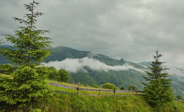 Schöne Aussicht Auf Idyllische Berglandschaft Den Alpen Mit Traditionellem Almhaus — Stockfoto