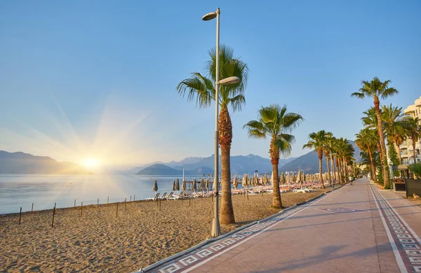 Marmaris 'te palmiye ağaçları olan güzel bir gezinti yeri. Türkiye.