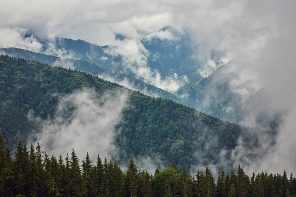 Majestic Θέα Όμορφα Βουνά Ομίχλη Στην Ομίχλη Τοπίο Δραματική Ασυνήθιστη — Φωτογραφία Αρχείου
