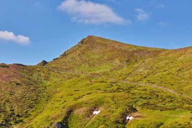 Alpler 'deki güzel cennet manzarası geleneksel dağ evi ve baharda mavi gökyüzünün açtığı güneşli bir günde çiçek açan taze yeşil çayırlar.