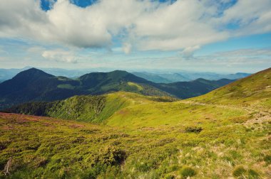 Bahar mevsiminde güneşli bir günde yemyeşil çayırlar açan Alpler 'in panoramik manzarası.