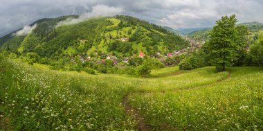 Alplerde yeşil çayırlar, çiçek açan çiçekler ve arka planda karla kaplı dağ tepeleri olan Idyllic manzarası.