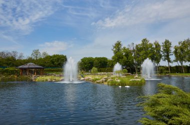 Şehir parkındaki dekoratif çalıları traş ettim. Fıskiyeli Spring Park Gölü.