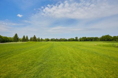 Golf sahasının güzel yeşil bir manzarası var. Zengin yeşil çimenlikli golf sahası. Güzel manzara..