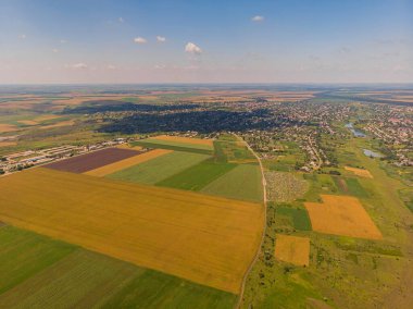 Yükseklikten buğday tarlası, üst görünüm, İHA tarafından fotoğraflanmış.