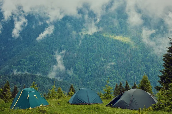 Tatilde Kamp Yapmak Çimlerin Üzerinde Kamp Yapmak Dağ Sisinin Üzerinde — Stok fotoğraf