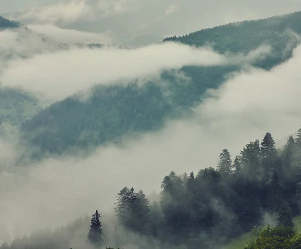 Majestic Θέα Όμορφα Βουνά Ομίχλη Στην Ομίχλη Τοπίο Δραματική Ασυνήθιστη — Φωτογραφία Αρχείου