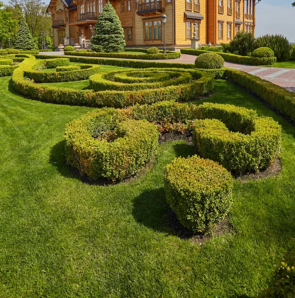 Vacker Sommarträdgård Med Gångväg Slingrar Sig Genom — Stockfoto