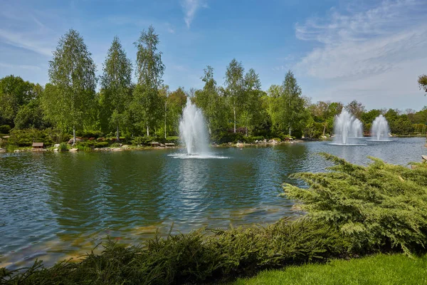 Shaved Decorative Bushes City Park Spring Park Lake Fountain — Stock Photo, Image