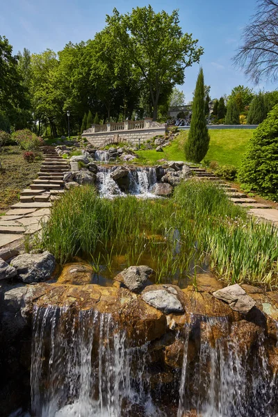 Şehir parkındaki dekoratif çalıları traş ettim. Fıskiyeli Spring Park Gölü.