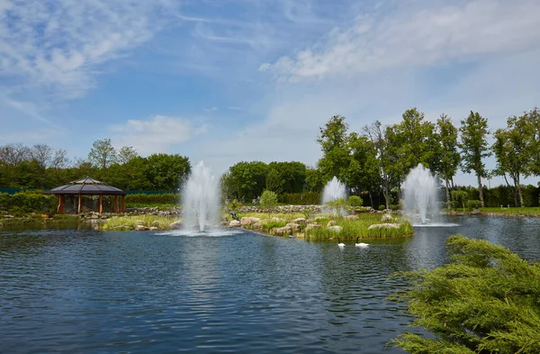 Shaved Decorative Bushes City Park Spring Park Lake Fountain — Stock Photo, Image