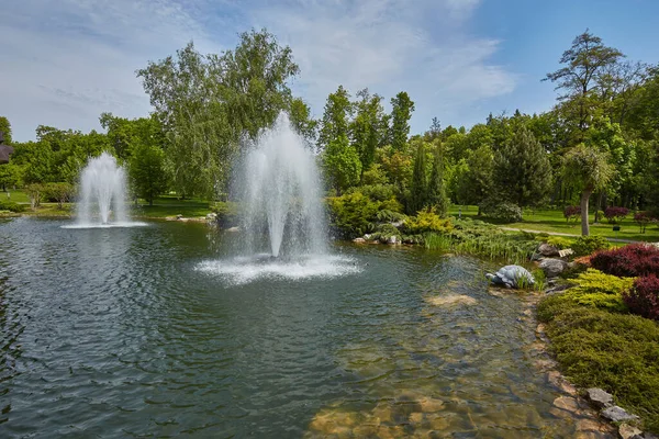 Rakade Dekorativa Buskar Stadspark Vårpark Sjö Med Fontän — Stockfoto