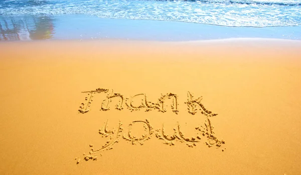 Concept Conceptual Hand Drawn Thank You Text Carved Golden Sandy — Stock Photo, Image
