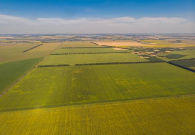 Idyllic sarı ayçiçeği tarlası gün ışığında. Ukrayna 'nın yeri, Avrupa. Ekoloji konseptinin fotoğrafı. Mükemmel doğal duvar kağıdı. İnsansız hava aracı fotoğrafçılığının doku resmi.
