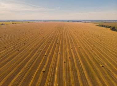 Yazın gün batımında saman balyalarının hava manzarası. Saman yığınlarının en üst görüntüsü. Tarım. Saman rulosuyla hasat üstüne tarla. Çiftlik arazisi, saman ve çayır manzarası. Tahıl hasadı, sarı buğday hasadı