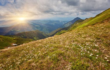 Alpler 'deki güzel cennet manzarası geleneksel dağ evi ve baharda mavi gökyüzünün açtığı güneşli bir günde çiçek açan taze yeşil çayırlar.