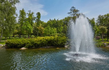 Şehir parkındaki dekoratif çalıları traş ettim. Fıskiyeli Spring Park Gölü.