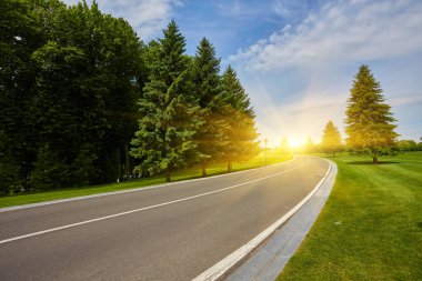Ağaçların kenarındaki asfalt yol, güneşli bir yaz gününde bir yük treni.