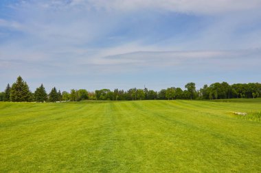 Golf sahasının güzel yeşil bir manzarası var. Zengin yeşil çimenlikli golf sahası. Güzel manzara..
