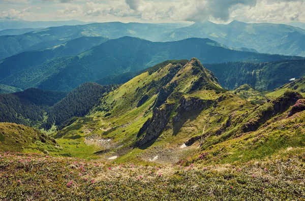 Hermosa Vista Idílicos Paisajes Montaña Los Alpes Con Chalet Montaña —  Fotos de Stock