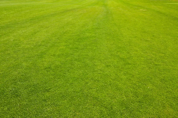Grünes Gras Textur Hintergrund Draufsicht Auf Helles Gras Garten Idee — Stockfoto