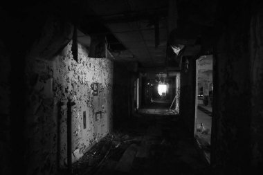 Çernobil 'in Gizli Askeri Üssü Rus Ağaçkakanı