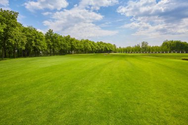 Golf sahasının güzel yeşil bir manzarası var. Zengin yeşil çimenlikli golf sahası. Güzel manzara..