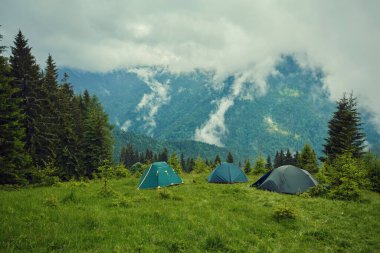 Tatilde kamp yapmak. Çimlerin üzerinde kamp yapmak. Dağ sisinin üzerinde kamp yapmak. Güzel deniz manzarası. Doğanın güzel harikaları..