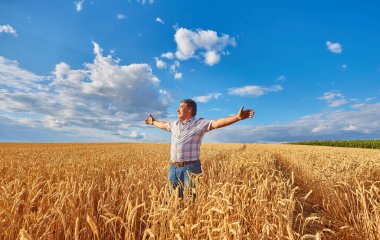 buğday alanında ayakta, kırpma seyir çiftçi