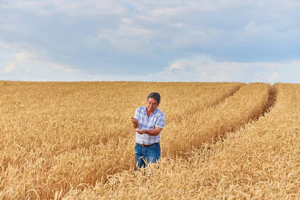 幸せな農家誇らしげに小麦畑に立っている 農地のカメラを見て 企業の制服を着た農学者 栽培されたシリアル作物の豊富な収穫 — ストック写真