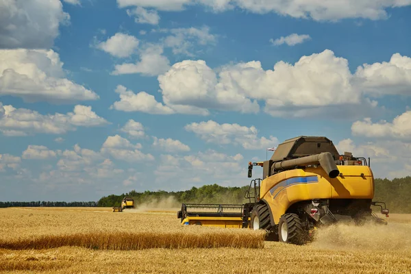 Mähdrescher Erntet Reifen Weizen Landwirtschaft Ernte Ländliches Leben Freiheitskonzept — Stockfoto