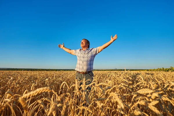 Glad Bonde Som Stolt Står Vetefält Agronomen Bär Företagsuniform Tittar — Stockfoto