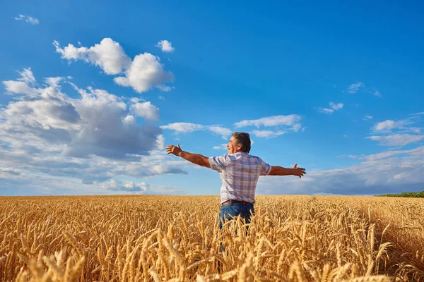 熟したシリアルの間の農場のフィールドの大人の男と側面に彼の腕を上げた 農村生活 自由の概念 — ストック写真