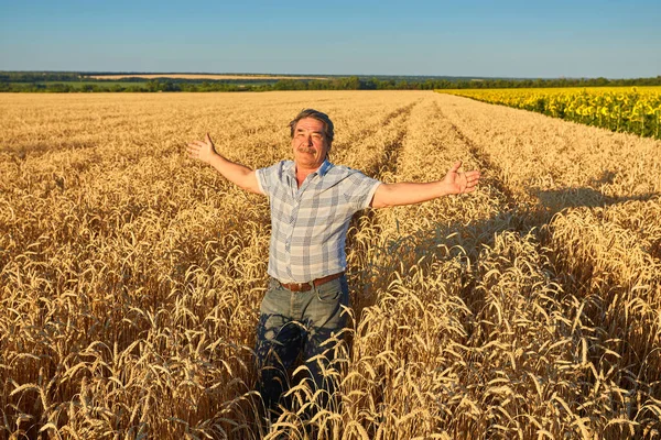 Bauer Steht Auf Einem Weizenfeld Und Betrachtet Die Ernte — Stockfoto