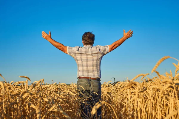 Farmer Standing Wheat Field Looking Crop — Stock Photo, Image