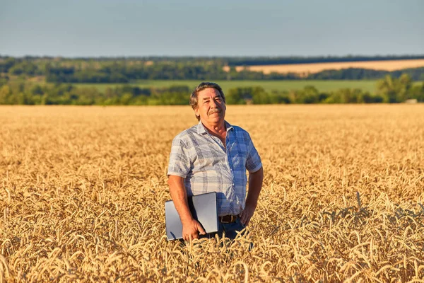 Farmer Standing Wheat Field Looking Crop — Stock Photo, Image