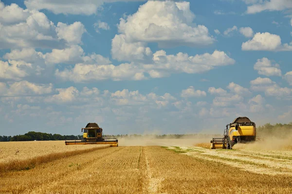 Комбайн Работающий Пшеничном Поле Сезонный Сбор Пшеницы Сельское Хозяйство — стоковое фото