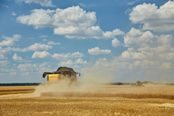 Combine Harvester Harvests Ripe Wheat Agriculture Harvesting Rural Life Freedom — Stock Photo, Image