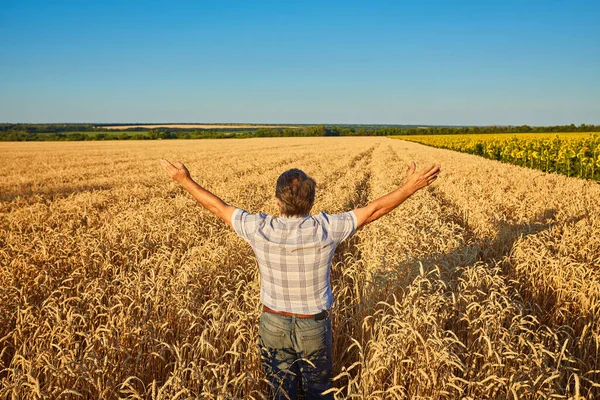 Glücklicher Bauer Der Stolz Weizenfeld Steht Agronom Corporate Uniform Blick — Stockfoto