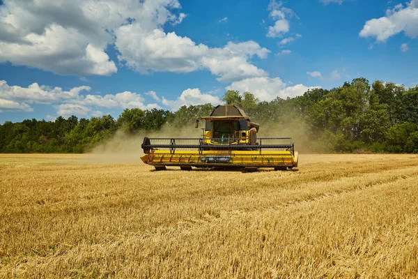 Combine Harvester Cutting Wheat Summer Landscape Endless Fields Blue Sky — Stock Photo, Image