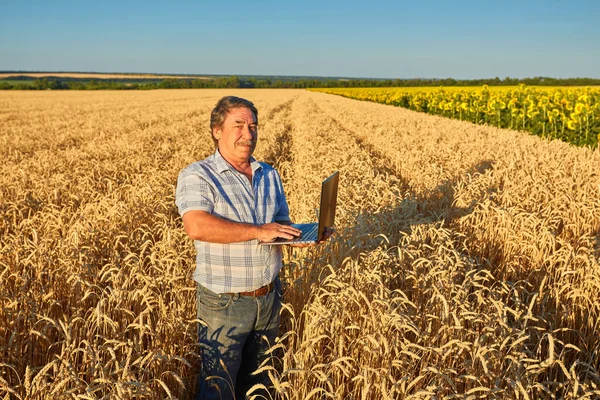 Portret Zrobiony Boku Białym Rolniku Nagrywającym Wpisującym Laptopie Będąc Środku — Zdjęcie stockowe
