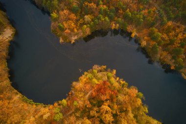 Güzel bir sonbahar ormanında akan nehrin drone görüntüsü