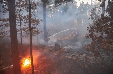 Bir itfaiye aracının su topu yüksek hızlı bir su akıntısını vuruyor, itfaiyeciler ormanda yangınla savaşıyor. Kyiv bölgesi, Ukrayna
