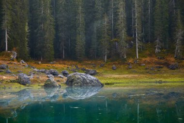 Taşlar ve ağaçlar Carezza Gölü Karersee, UNESCO Dünya Doğal Mirasları Alanı, Nova Levante, Güney Tyrol