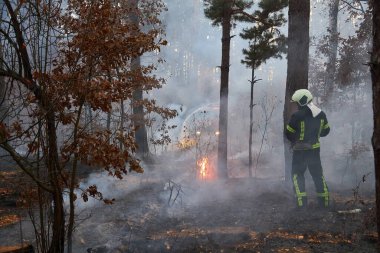 Duman ormanları ve itfaiyeciler orman yangını silueti..