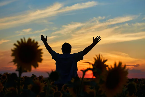 Fermier Ukrainien Prospère Dans Champ Tournesol Agriculteur Âgé Tient Debout — Photo